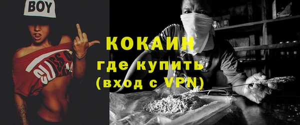 дживик Алексин