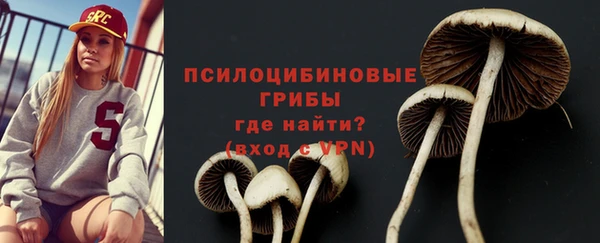 дживик Алексин