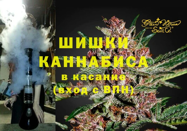 винт Алзамай