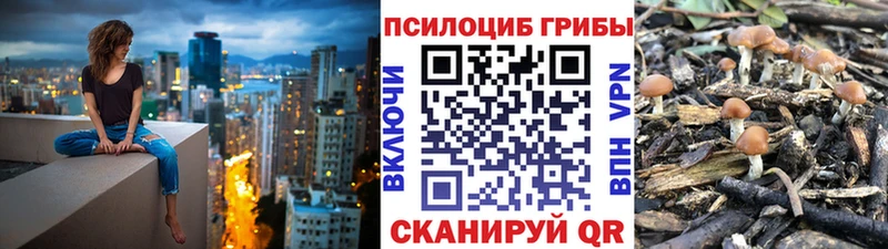 Купить  Подольск  Галлюциногенные грибы Cubensis 